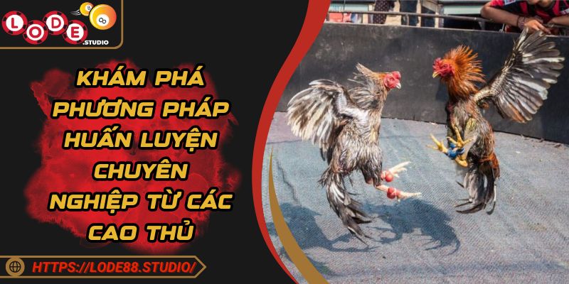 Khám phá phương pháp huấn luyện chuyên nghiệp từ các cao thủ